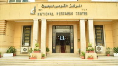 Photo of التعليم العالي: دعم الابتكار وريادة الأعمال في الصناعات النسيجية لتعزيز التصنيع المحلي